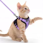 Katės petne&scaron;os su at&scaron;vaitu, reguliuojamos, XXS, violetinės, rabbitgoo