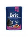 Brit Premium Salmon & Trout 100 g - konservi kaķiem | 8595602505999