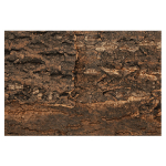 Repti Planet Natural Cork Background 29 x 27,3 x 2 cm | 8595091794232