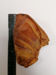 Dried pig ear 18cm, 1 pcs. | 4751008285253