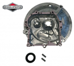 KARTERIS BRIGGS&STRATTON OHV Originali dalis