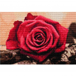 Deimantinės dailės deimantinio siuvinėjimo mozaikos rinkinys 5D drobės rėmelis 20x30