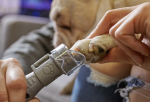 Dremel - Nail Care Kit For Pets