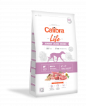 Calibra - Dog Life Junior Large Breed Lamb 12 kg - (381102)