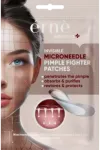 ERNE Invisible Microneedle Pimple Figter, probleminės odos priežiūra prie&scaron;uždegiminiai pleistrai, 9 vnt.