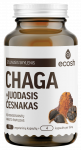 ECOSH Chaga su juoduoju česnaku kapsulės, 90 vnt.