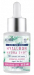 VICTORIA BEAUTY Aloe Hyaluron Hydra drėkinantis su alaviju serumas, 30 ml