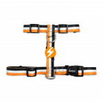 DASHI petne&scaron;os, 1 vnt.