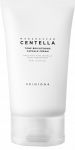 SKIN1004 Tone Brightening  &scaron;viesinantis veido kremas, 75 ml
