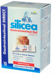 SILICEA Gel Direct vir&scaron;kinamojo trakto gelis paketėliai, 15 vnt.