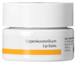 DR.HAUSCHKA Lip Balm lūpų balzamas, 4.5 ml