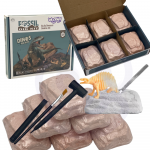 WOOPIE Kasinėjimai 6in1 Mažasis archeologas - 6 dinozaurų rinkinys