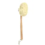 DONEGAL BATH SPONGE ant medinio rankenos (6036) 1 vnt