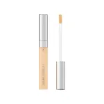 Loreal True Match All-In-One Concealer 1N Ivory