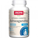Alpha Lipoic Sustain with Biotin - 120 tabs - Jarrow Formulas