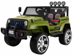 NAUJAS "Raptor DRIFTER" 4 x 4 žalias