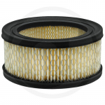 Oro filtras BRIGGS STRATTON 251400, 252400, 253400, 255400