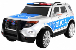 Visureigis Lenkija Policija