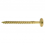 TK konstrukciniai medsraigčiai 6x100 mm (100 vnt.)