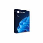 Windows 11 Pro 64-Bit USB