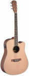 Elektro-akustinė gitara James Neligan ASY-DCE