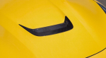 Novitec Ferrari F12 F12 N-Largo INSERT FOR ENGINE BONNET