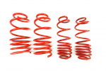 MTS Technik Lowering Springs Set Seat TOLEDO II (1M) MTSXVW178