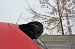 Maxton Design Spoiler Cap Seat Leon MS Design Mk2 SE-LE-2-MS-CAP1G