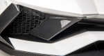 Novitec Lamborghini Aventador Aventador S FRONT STRUT