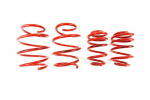 MTS Technik Lowering Springs Set BMW 3 (E46) MTSXBM130