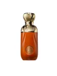 Perseviron by Paris Corner EDP 100ml