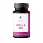 Magnis+B6 Forte, N60