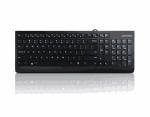 Klaviatūra Lenovo 300 USB Keyboard, EN