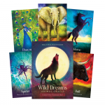 Blue Angel Wild Dreams Animal Oracle Kortos