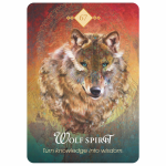 Hay House The Spirit Animal Oracle Kortos