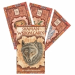 US Games Systems Shaman Wisdom Kortos