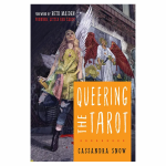 Weiser Books Queering The Tarot Knyga