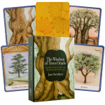 Orakulo Kortos The Wisdom Of Trees Watkins Publishing