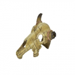 Dekoracija Buliaus kaukolė