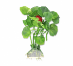 Dirbtinis augalas 10 cm