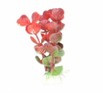 Dirbtinis augalas 10 cm