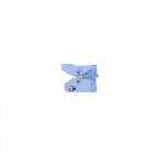 Canon CT-08 Plačiaformačio spausdintuvo pjaustytuvo a&scaron;menys