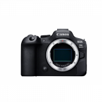 Canon Fotoaparatas EOS R6 MARK II BODY