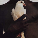 Santana - Santana's Greatest Hits (vinilinė plok&scaron;telė, LP)