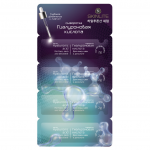 Serumas Skinlite &bdquo;Hialurono rūg&scaron;tis&ldquo;, 4 x 2 g.