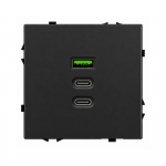 Greito krovimo USB rozetė su A+C+C jungtimis Feelspot FSACC65B, 65 W, juoda