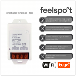 I&scaron;manusis jungiklis &ndash; rėlė Feelspot FS-WB06W Wi-Fi, Tuya