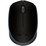 Logitech M171 belaidė optinė pelė, USB, 1000 DPI, abiem rankoms, juoda