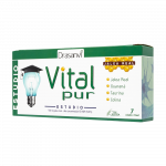 Drasanvi Vitalpur Study, derinys su bičių pieneliu, guarana, ginkmedžiu, lecitinu, cholinu, taurinu ir geležimi, apelsinų skonio