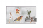 LG | Digital Signage | 55EW5P | 55 " | Landscape/Portrait | 18/7 | webOS | 8 ms | 178 | Transparent | 178 | 600 cd/m